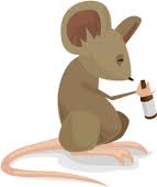 mouse drinking