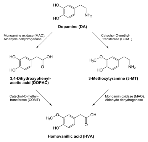 What you synthesize, you must break down - Brian Eno