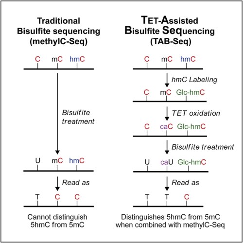 methylC-Seq is so passe these days