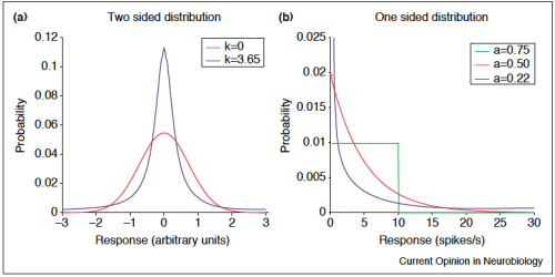 Olshausen and Field, 2004, Current Opinion in Neurobiology