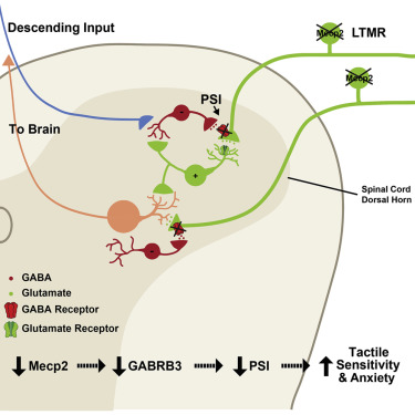 graphical abstract 7