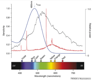 Screen Shot 2016-09-03 at 11.58.13 AM