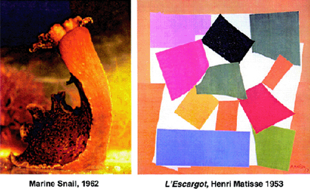 kandel_and_marc2003fig1